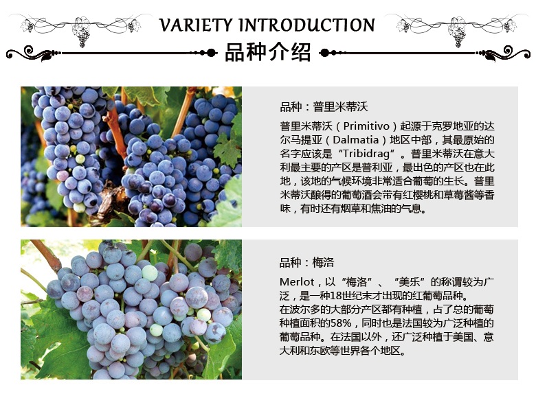 十三世纪1206_02.jpg