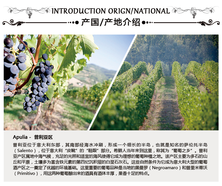 十三世纪1206_03.jpg